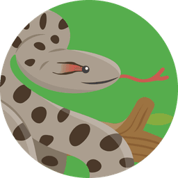 ANACONDA VERDE