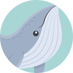 BALLENA JOROBADA