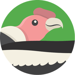 CÓNDOR