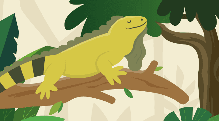 IGUANA VERDE